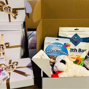 Pet Birthday Gift Box with Toys and Treats